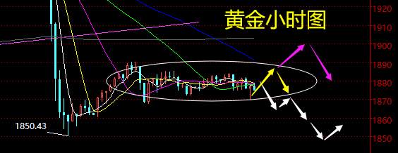 老黑策略：11.11晚盘外汇、黄金、原油分析策略