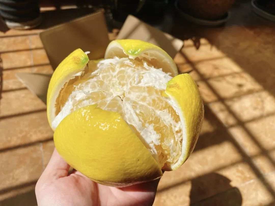 几乎90%的人没见过更没吃过的罕见品种,值得一试!