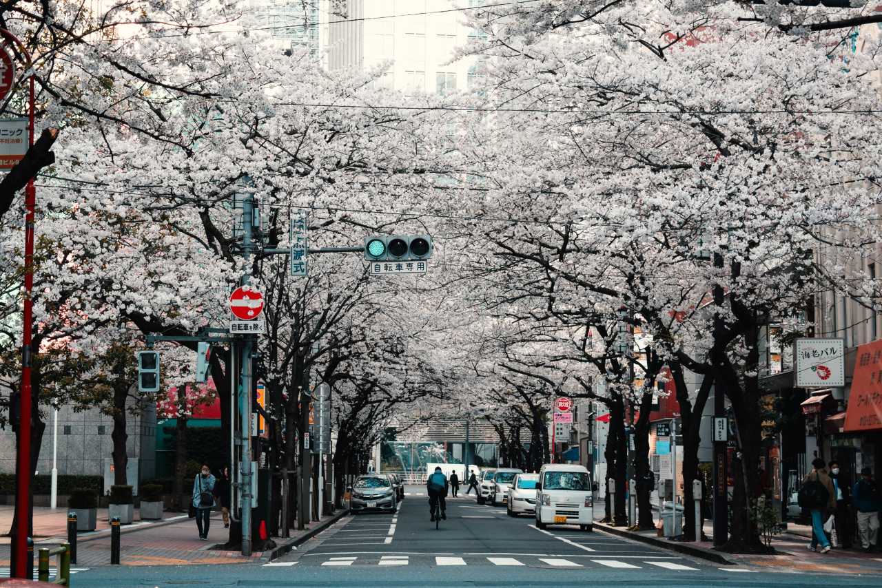 BREAKING: Japan's Economy Rebounds from Record Slump as Pandemic Pain Eases