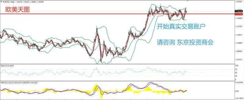 2020年11月11日 今日汇评