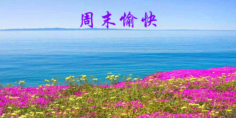 楚悦辰：11.22黄金周五强势反弹，多头还有梦想？