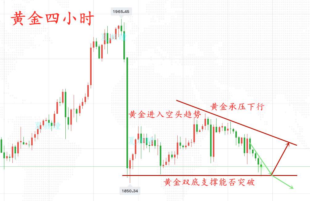 夏颜瞳：11.19黄金大跌，晚间行情走势分析