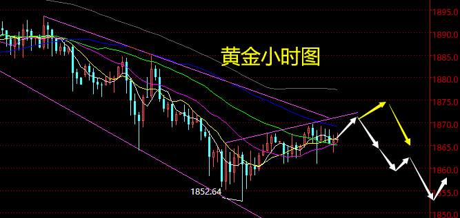 老黑策略：11.20晚盘外汇、黄金、原油分析策略