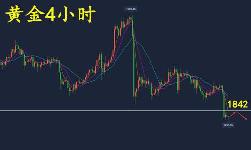 feed-image-2