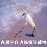 月榜|10月垃圾榜单已公布，这10家平台需重点预警！