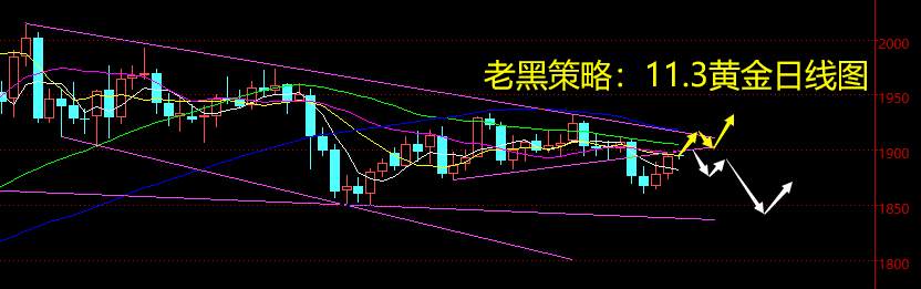 老黑策略：11.3黄金分析策略