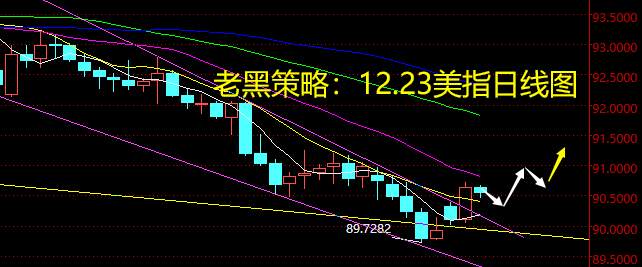老黑策略：12.23外汇分析策略