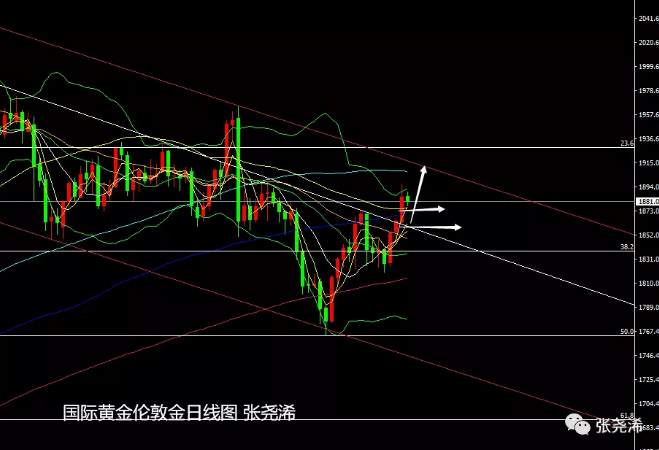 张尧浠周评：刺激计划有望实施、黄金反弹仍有上行预期