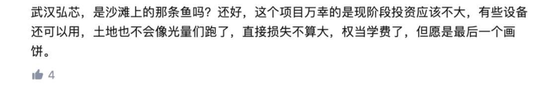 千亿芯片项目“烂尾”，到底谁来买单? 