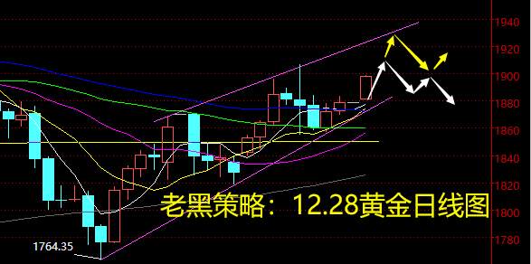 老黑策略：12.28黄金分析策略