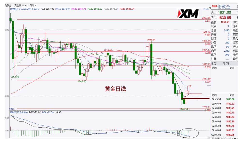XM汇评 – 美元进一步下挫，黄金开启反攻