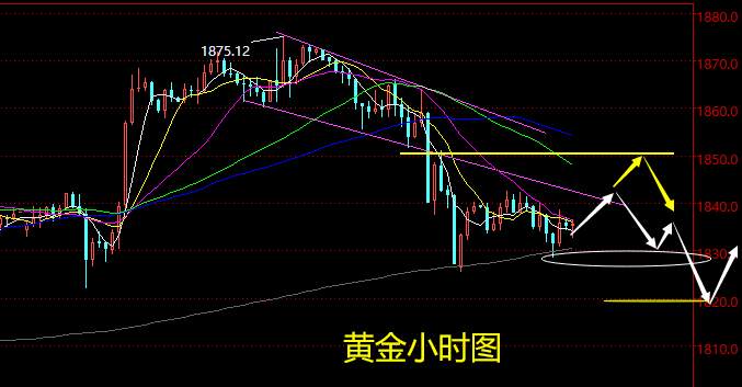 老黑策略：12.10晚盘外汇、黄金、原油分析策略
