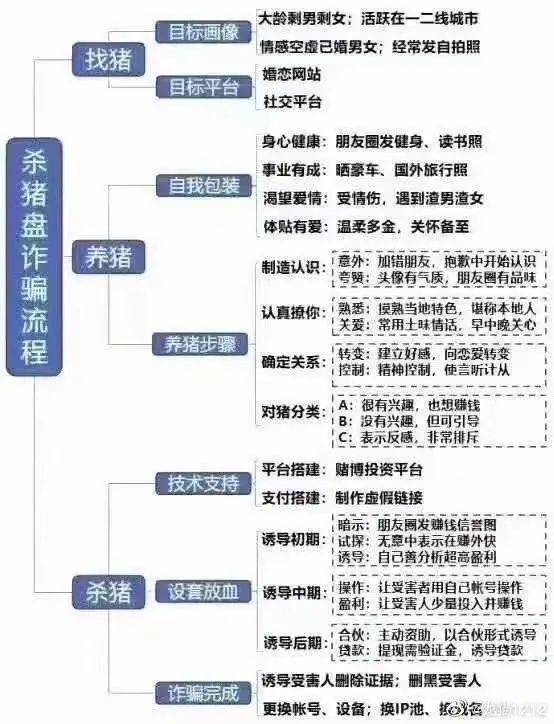 我是一只刚刚被杀的猪 杀猪盘触目惊心：女生被骗上千万！诈骗流程曝光
