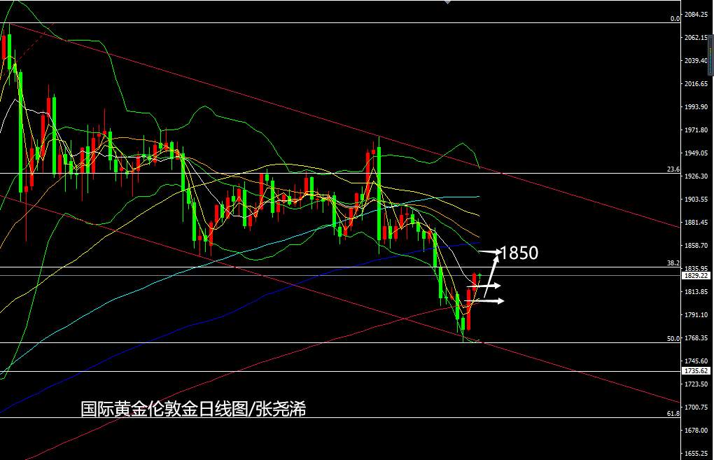 张尧浠：刺激计划前景增强、黄金反弹续看1850再博空