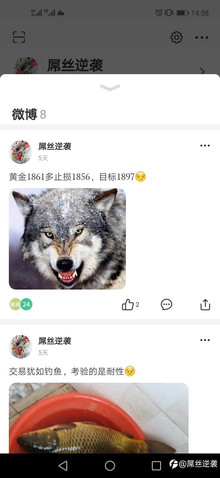 feed-image-0