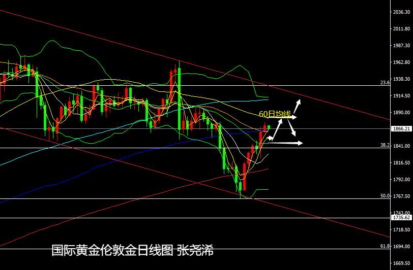 张尧浠：刺激计划仍在支撑、黄金关注60日均线阻力上下
