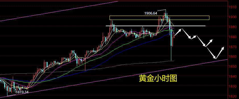 老黑策略：12.21晚盘外汇、黄金、原油分析策略