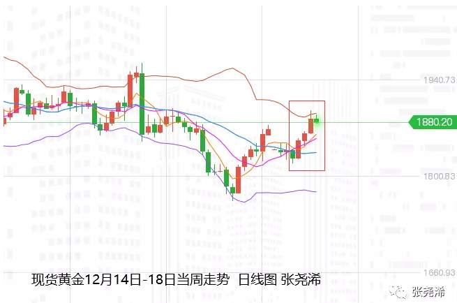 张尧浠周评：刺激计划有望实施、黄金反弹仍有上行预期