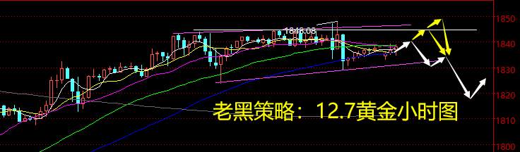 老黑策略：12.7黄金分析策略