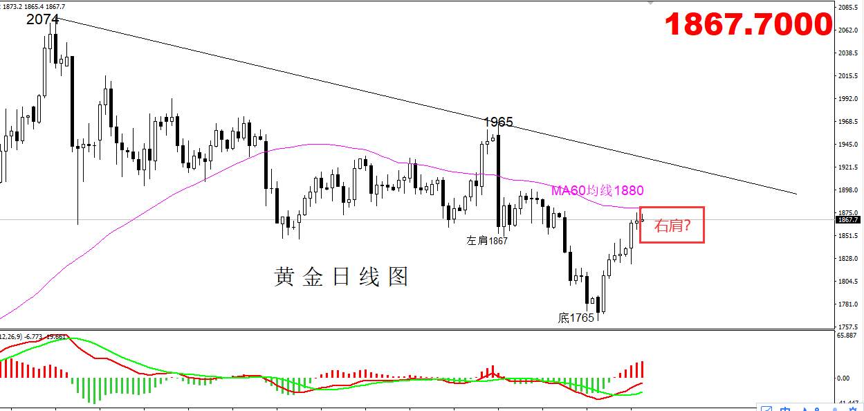 【黄金篇】:黄金震荡上行，右肩区间即将确认