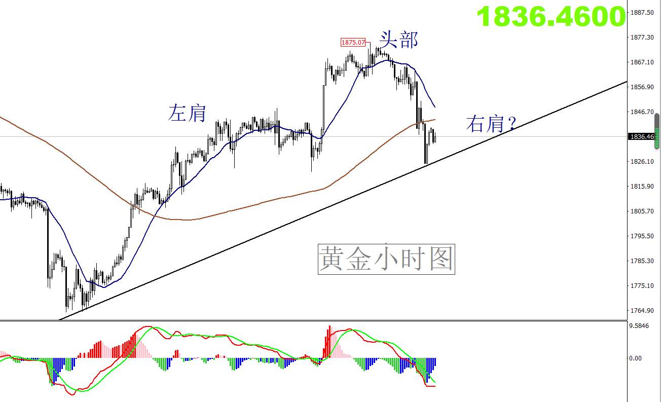 【南篱论金/黄金】神仙打架，黄金遭殃。
