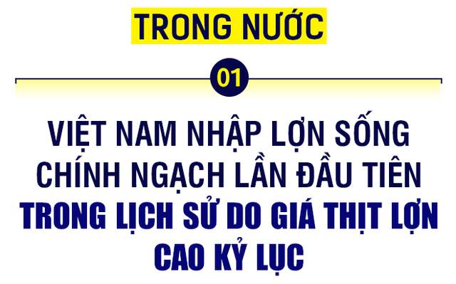 10 sự kiện nổi bật nhất thị trường hàng hóa - nguyên liệu trong và ngoài nước năm 2020