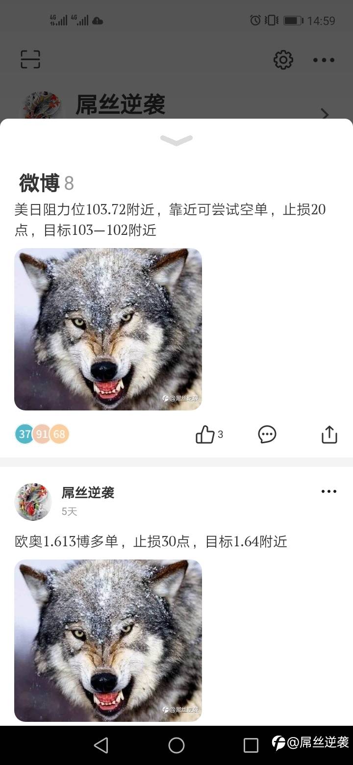 feed-image-1