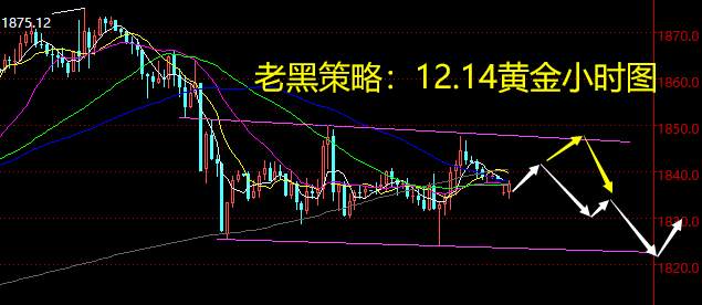 老黑策略：12.14黄金分析策略