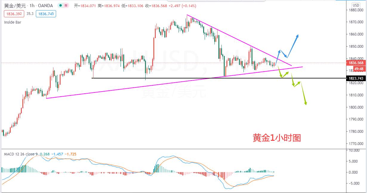 张志：黄金头肩顶结构下，还能反弹吗？