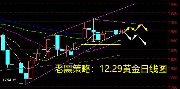 老黑策略：12.29黄金分析策略