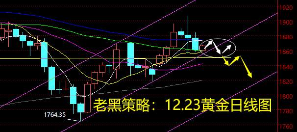 老黑策略：12.23黄金分析策略