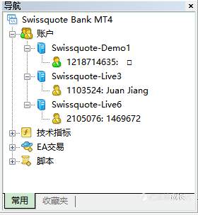 【巫婆成长记】入汇关键之模拟盘