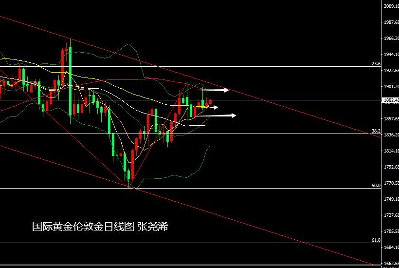 张尧浠：欧元新高美看空增强、金价继续震荡走上行