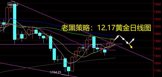 老黑策略：12.17黄金分析策略