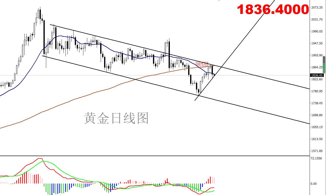 【南篱论金/黄金】神仙打架，黄金遭殃。