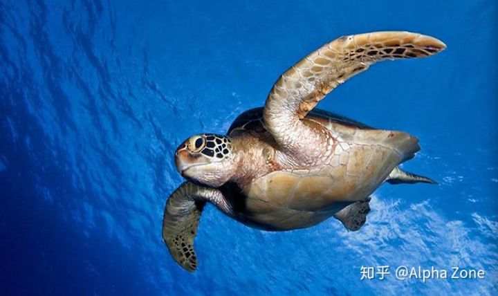 请问哪位大佬知道单边趋势型，网格型，剥头皮这三种交易系统？