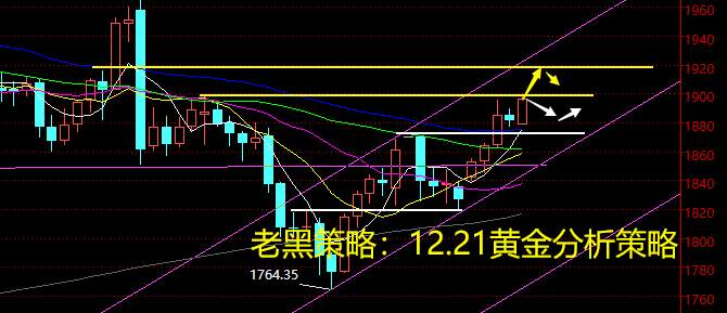 老黑策略：12.21黄金分析策略