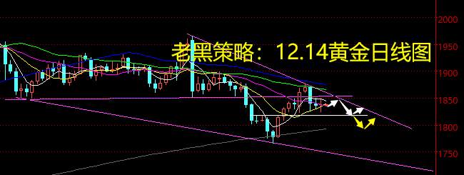老黑策略：12.14黄金分析策略