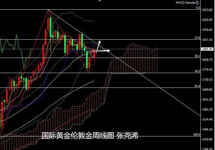 张尧浠周评：刺激计划有望实施、黄金反弹仍有上行预期
