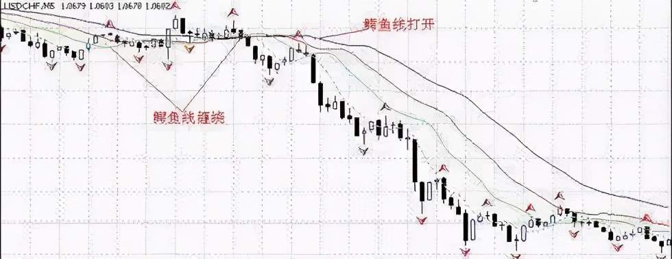 如果你没有听过“混沌交易法”，真不要说自己学过交易！