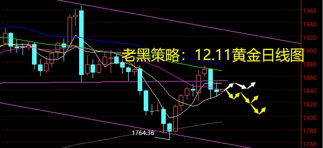 老黑策略：12.11黄金分析策略