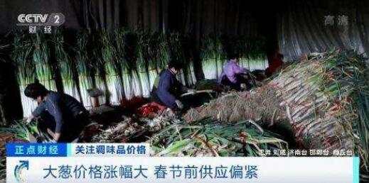 葱葱上涨，能对CPI形成刺激吗？
