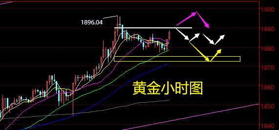 老黑策略：12.18晚盘外汇、黄金、原油分析策略