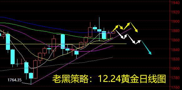 老黑策略：12.24外汇、黄金、原油分析策略