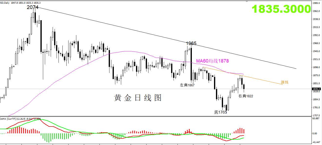 【黄金篇】：黄金底部形态能否形成此位置是关键！