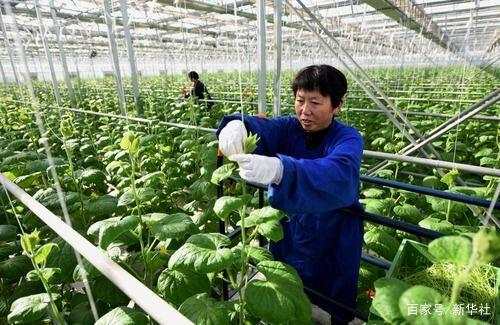 开局“十四五” 开启新征程——从2020年中央经济工作会议看以习近平同志为核心的党中央谋划“十四五”开局起步