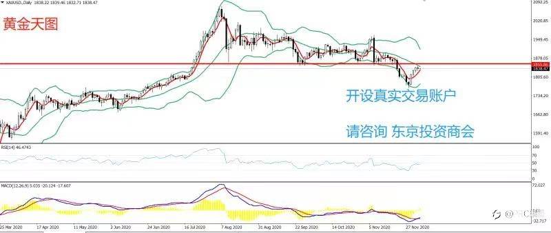2020年12月07日 今日汇评
