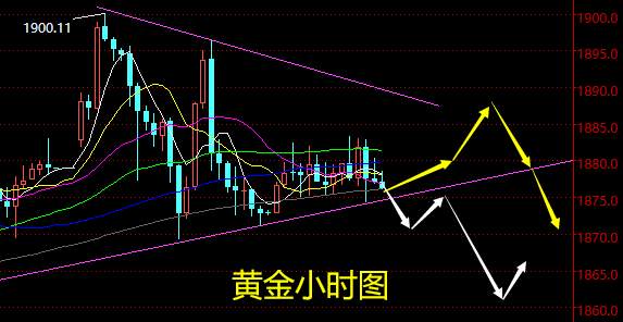 老黑策略：12.29晚盘外汇、黄金、原油分析策略