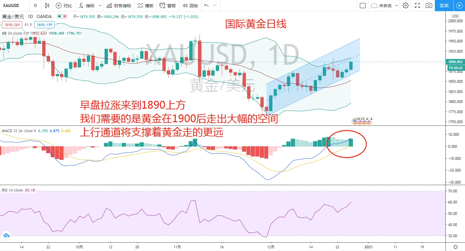 东盛：黄金再次破位，你准备好了么？