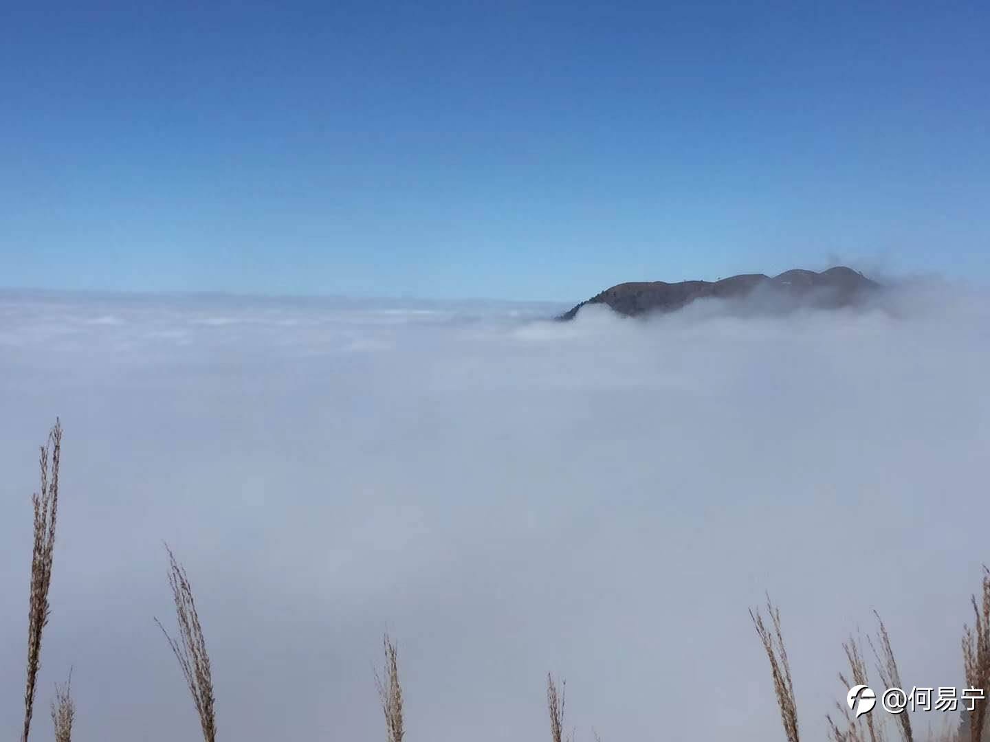 其实外汇这个东西真的没有秘诀可言!